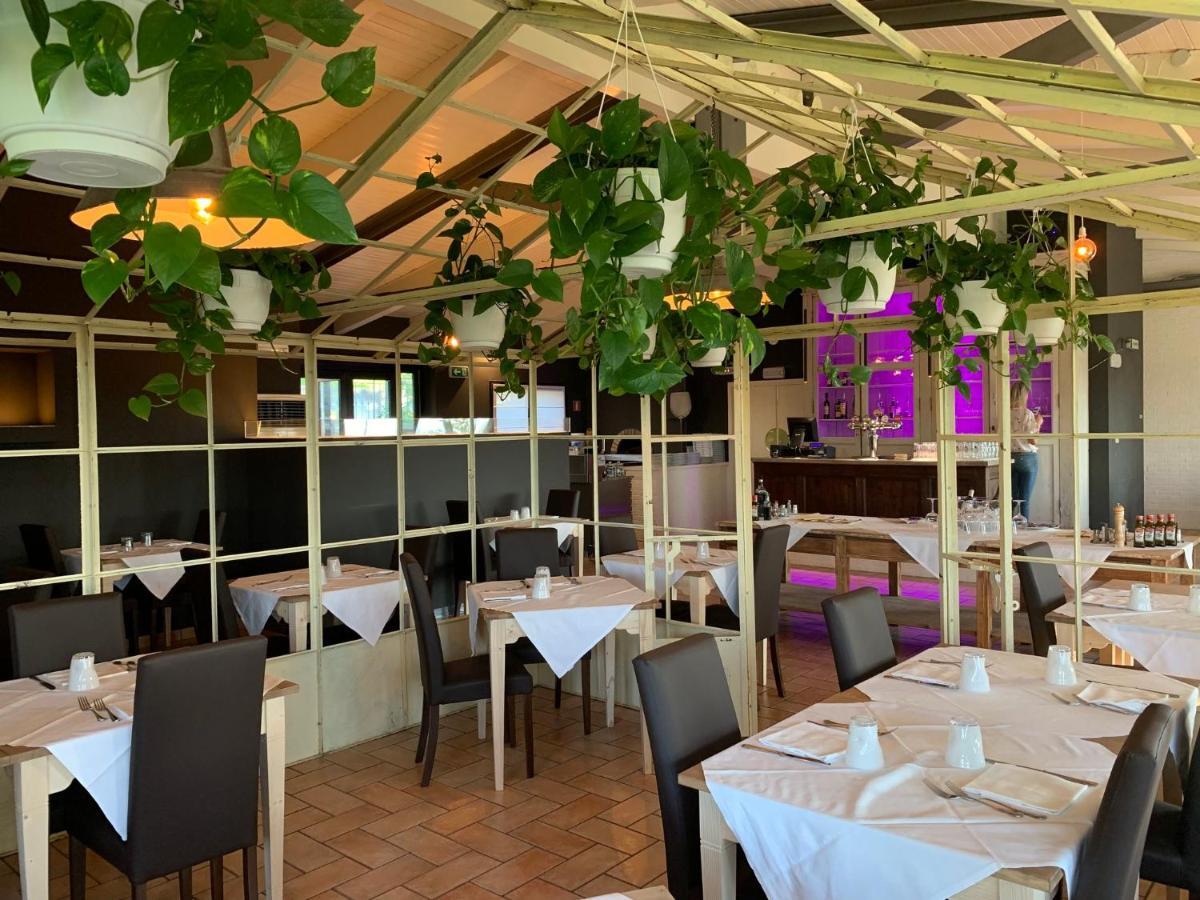 Hotel Mamiani & Relaxing Spa Urbino Zewnętrze zdjęcie